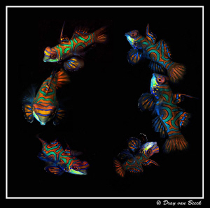 The Dance... by Dray Van Beeck 